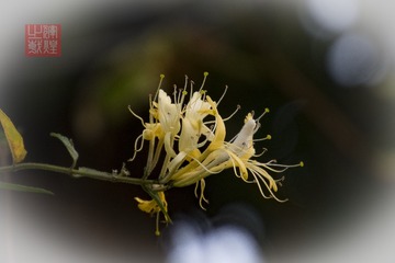 _DSC6135-2