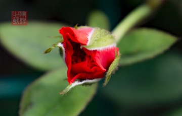 _DSC6418-1