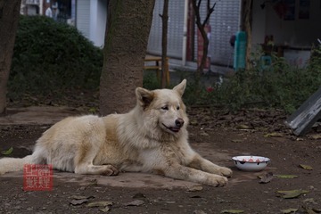 _DSC7821-1