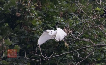 20151007-_DSC6002
