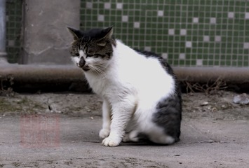 未命名