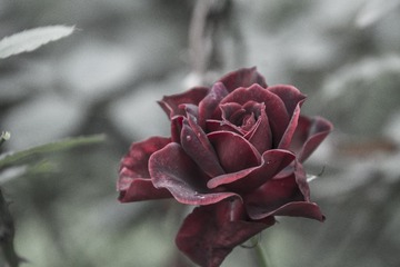 未命名-11