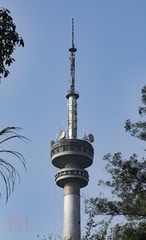 未命名-36