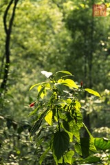 _DSC2577