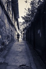 _DSC5262-2