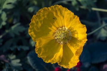 _DSC5466