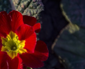 _DSC5464