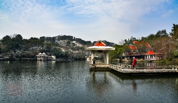 _DSC5934