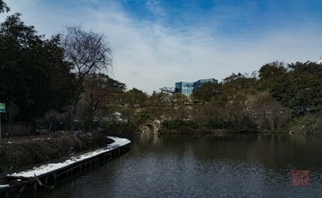 _DSC6132