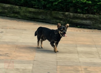DSC_1284-2