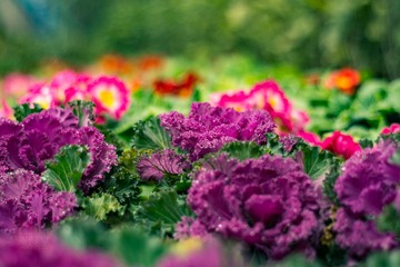 _DSC8073-2