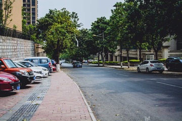 _DSC5445