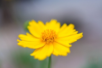 _DSC7686