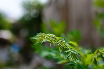 _DSC7715