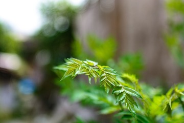 _DSC7715-2