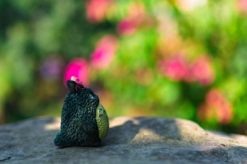 _DSC7951