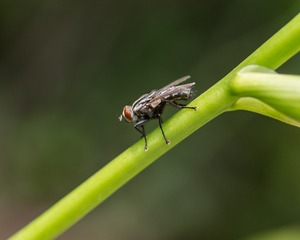 _DSC8302