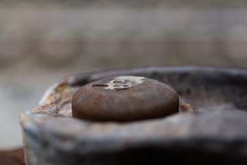 _DSC8401