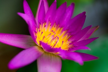 _DSC0025