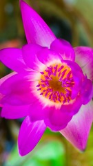 _DSC0020