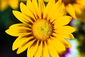 _DSC0703-2