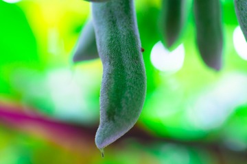 _DSC8781