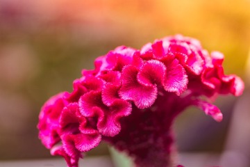 _DSC8843