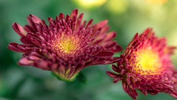 _DSC0605