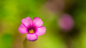 _DSC2404