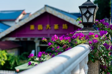 _DSC3961