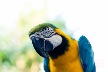 _DSC4001