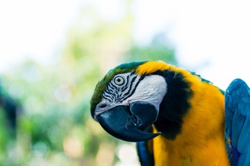 _DSC4002