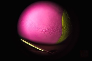 _DSC5728