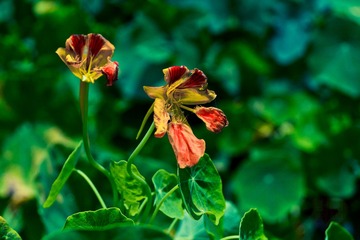 _DSC6340