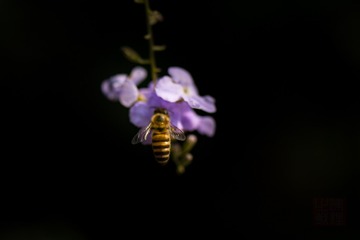 _DSC4607