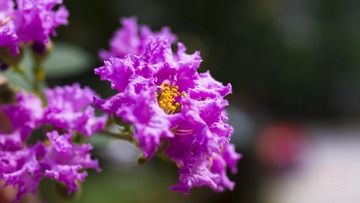 _DSC8313