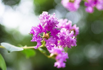 _DSC8318