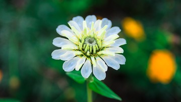 _DSC8791