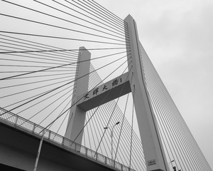 _DSC4059