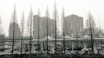 _DSC4232
