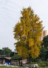 年末，最后一天~