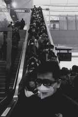Happy Mask Day Holiday!