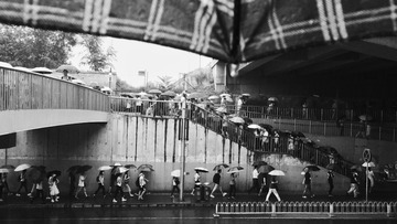 雨
