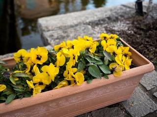 P2170182