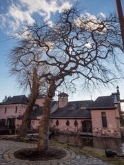 P2170203