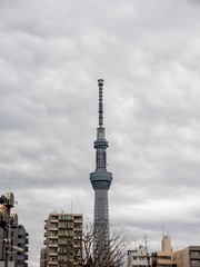 P2210631