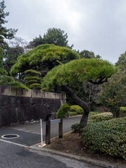 P2230995