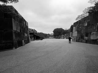 P2230999