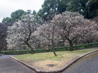P2231017