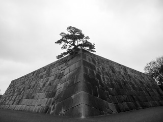 P2231033